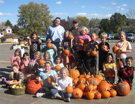 pumpkins group image